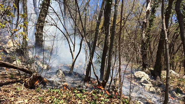 Локализован пожар на Гучеву, још се не зна колика је материјална штета (ФОТО)